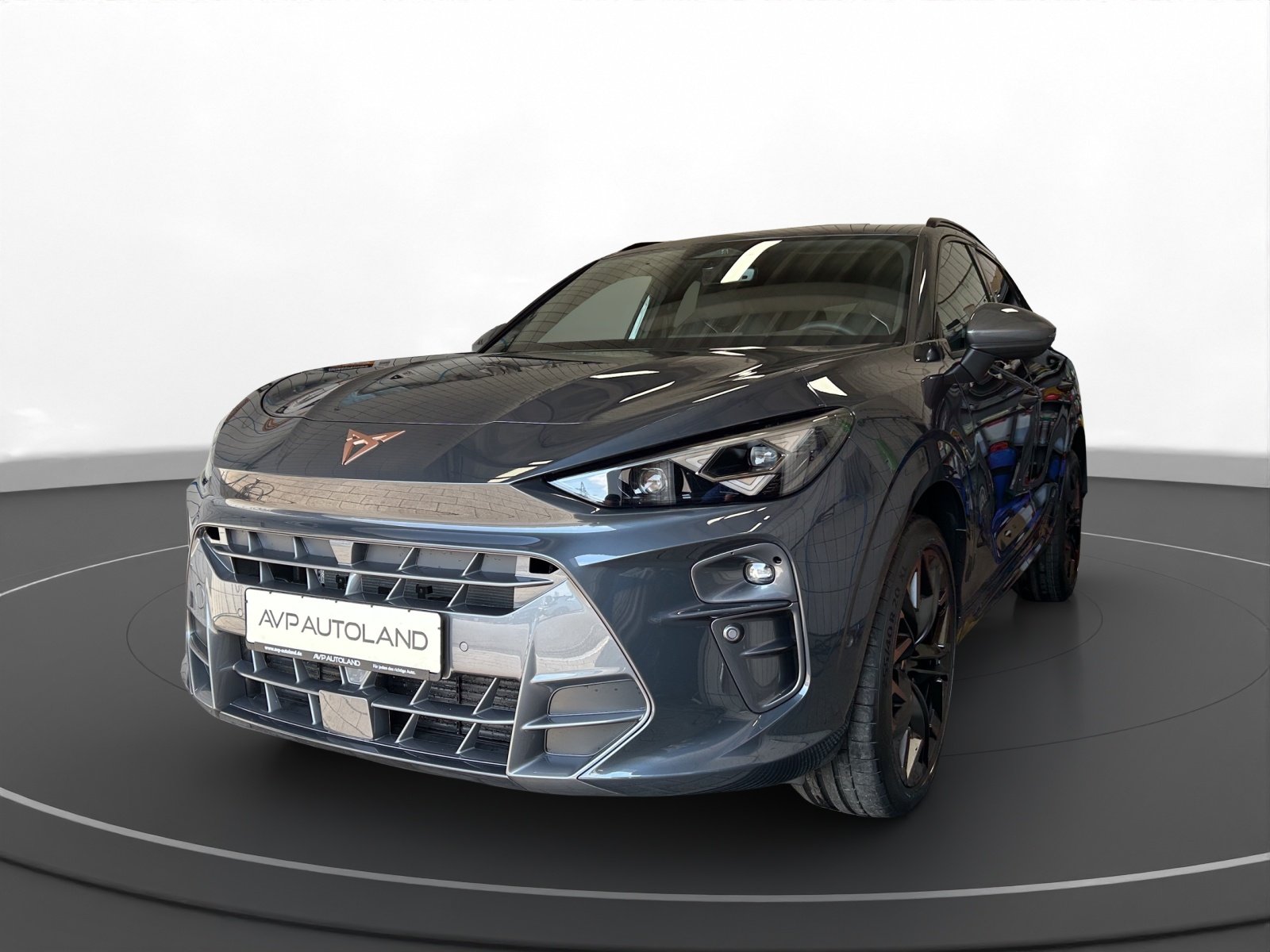 AVP AUTOLAND | CUPRA Terramar in Grau