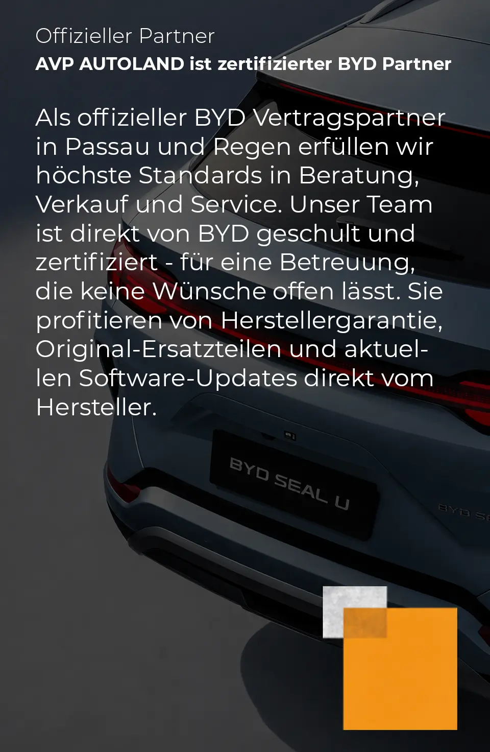 avp-offizieller Partner